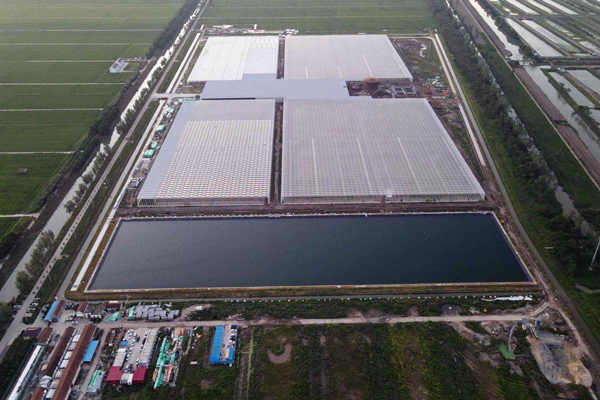 大贊！吉林石化研究院創新環境監測業務！(圖1)